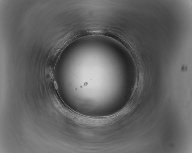 X0000113120048200908281448