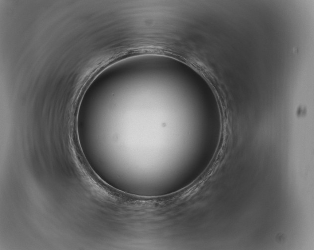 X0000113120049200908281447