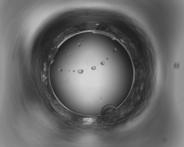 X0000113120050200908281447