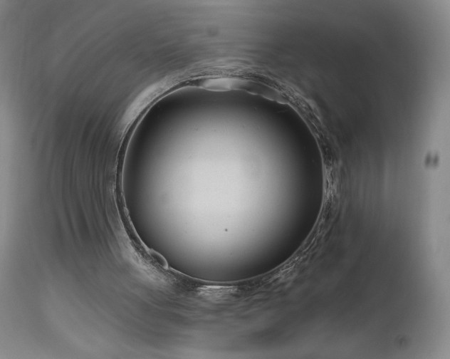 X0000113120051200908281447