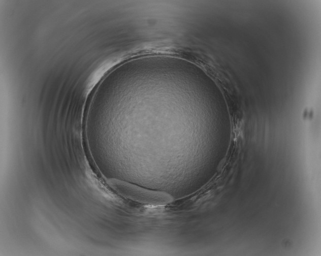 X0000113120052200908281447