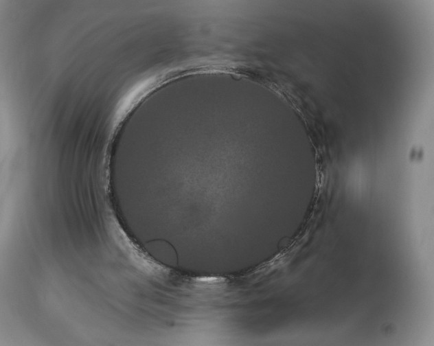 X0000113120053200908281447