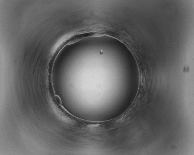 X0000113120054200908281448