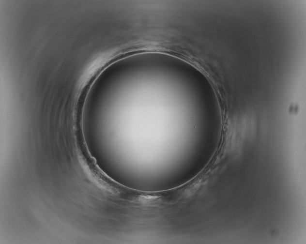 X0000113120055200908281448