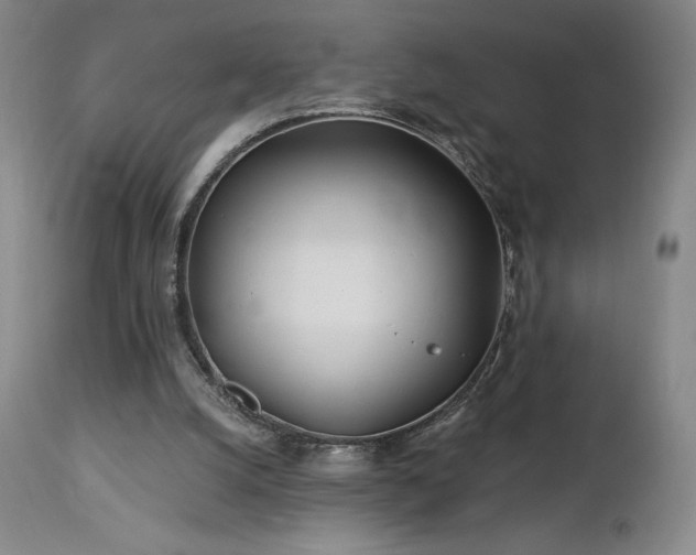 X0000113120056200908281448