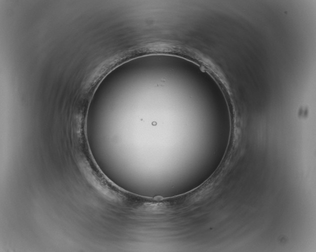 X0000113120057200908281448