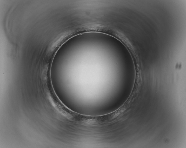 X0000113120058200908281448