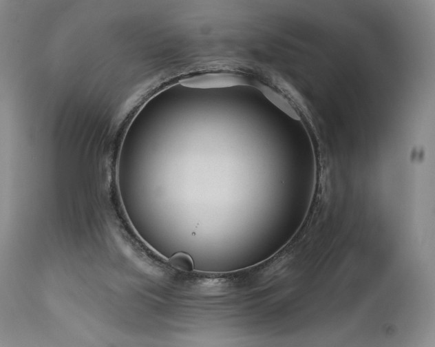 X0000113120059200908281448