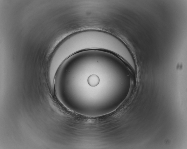 X0000113120060200908281448