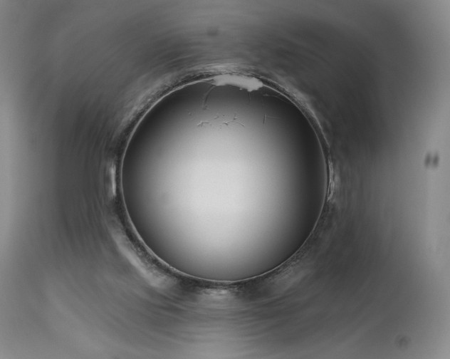 X0000113120061200908281448