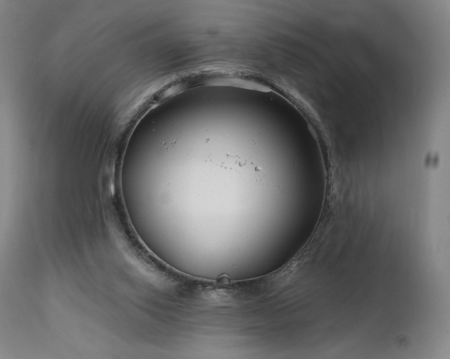 X0000113120062200908281448