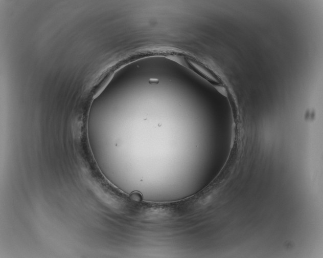 X0000113120063200908281448