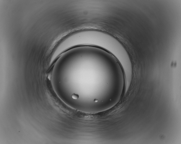 X0000113120064200908281448