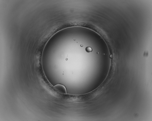 X0000113120065200908281448