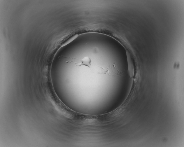 X0000113120066200908281448