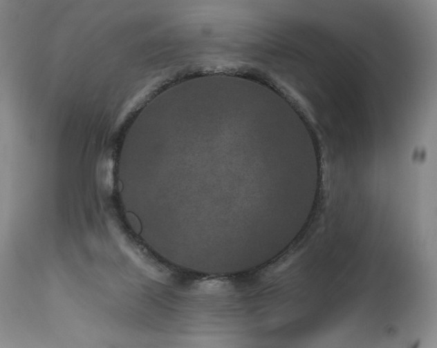 X0000113120067200908281448