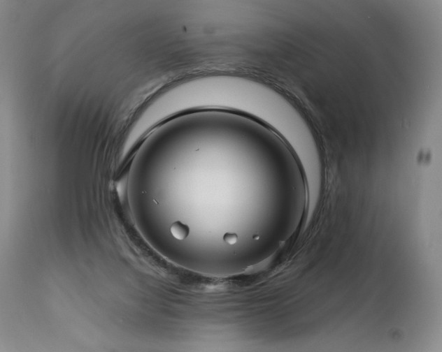 X0000113120068200908281448