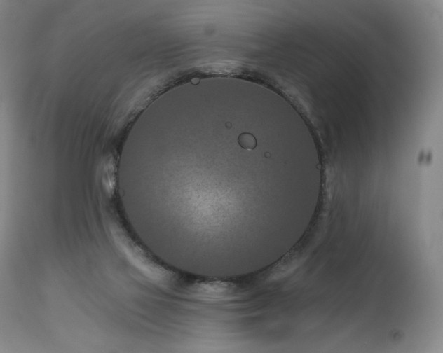 X0000113120069200908281448