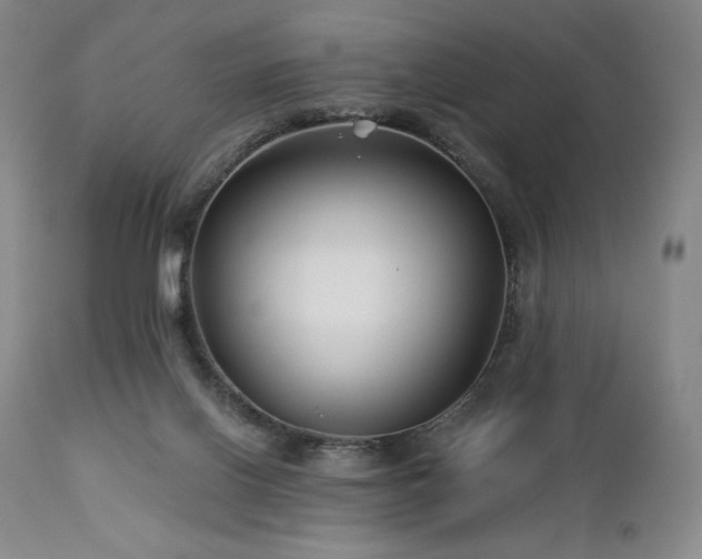 X0000113120070200908281448