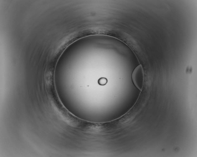 X0000113120071200908281448