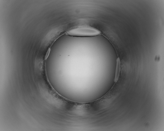 X0000113120072200908281448