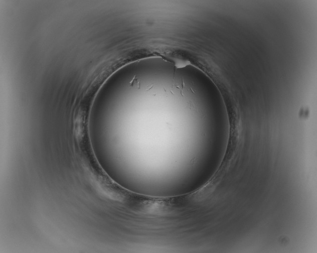 X0000113120074200908281448