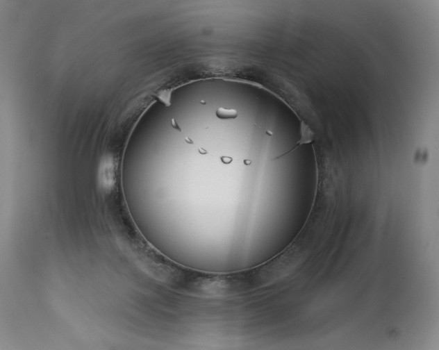 X0000113120075200908281448