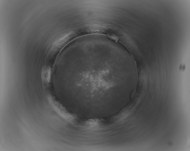 X0000113120076200908281448