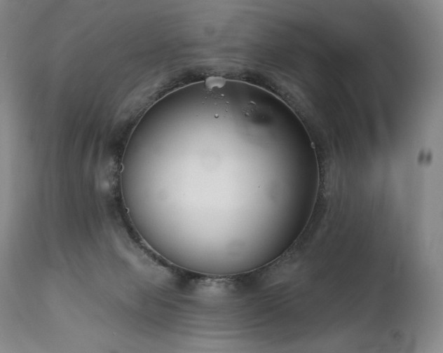 X0000113120077200908281448