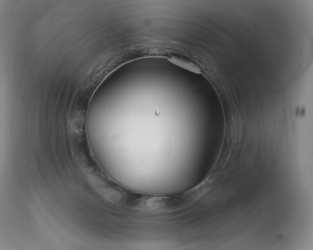 X0000113120078200908281448