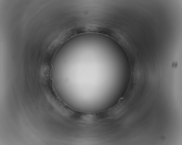 X0000113120079200908281448