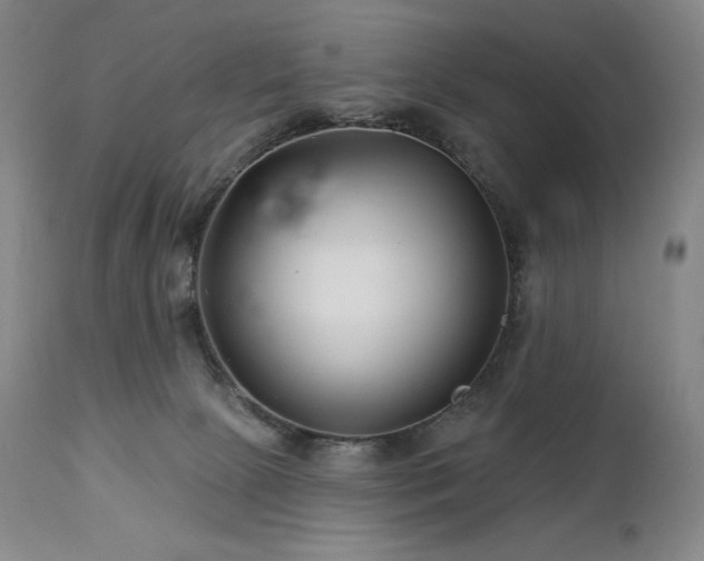 X0000113120081200908281448