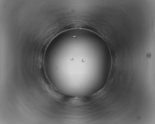 X0000113120082200908281448