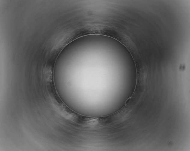 X0000113120083200908281448