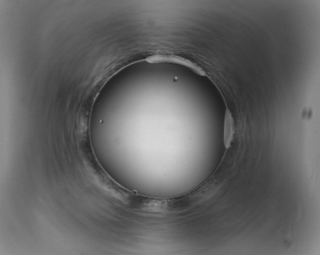 X0000113120084200908281448