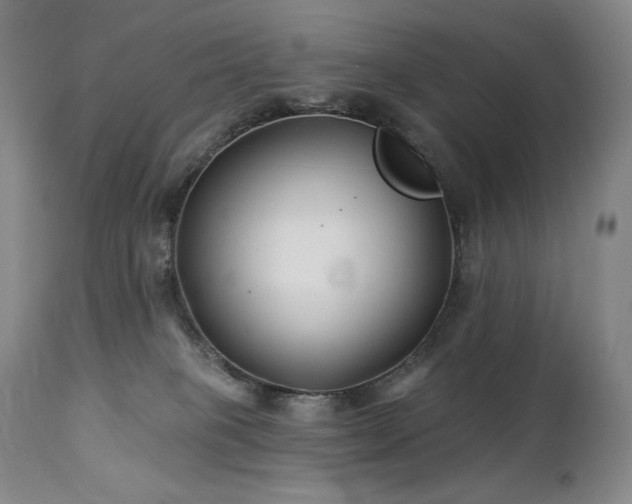 X0000113120085200908281448