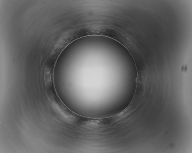 X0000113120086200908281448