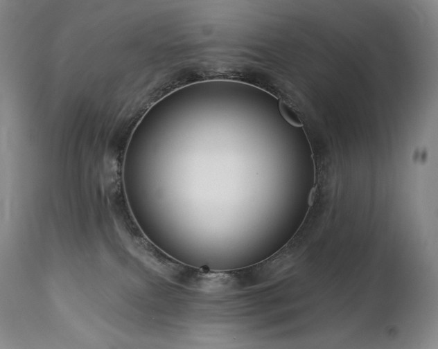 X0000113120087200908281448