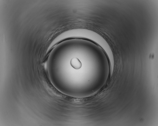 X0000113120088200908281448