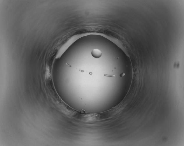 X0000113120089200908281448