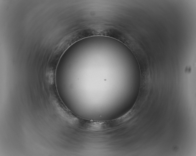 X0000113120090200908281448