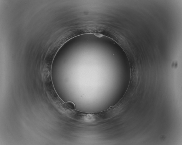 X0000113120091200908281448