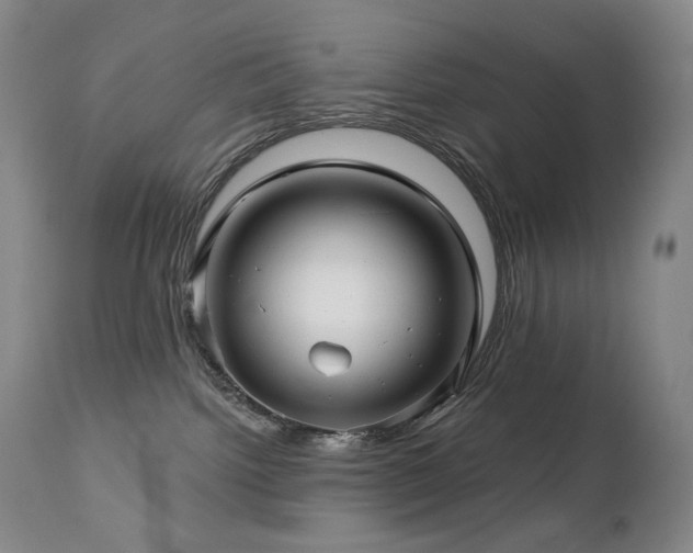 X0000113120092200908281448