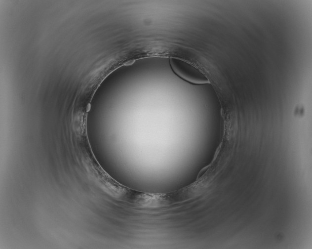 X0000113120093200908281448