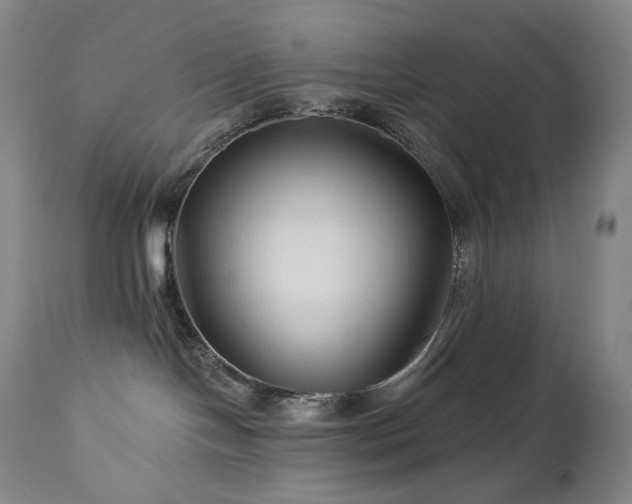 X0000113120094200908281448