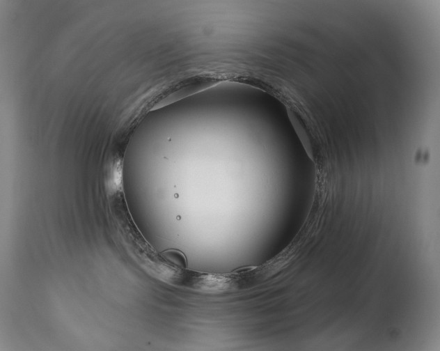 X0000113120095200908281448