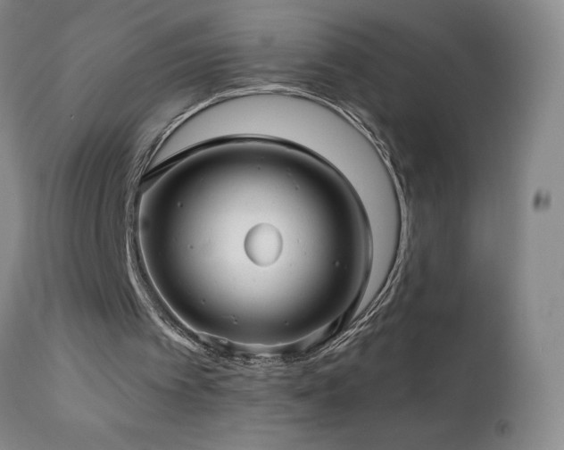 X0000113120097200908281447