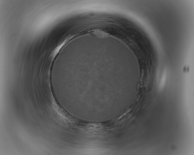 X0000113120099200908281447