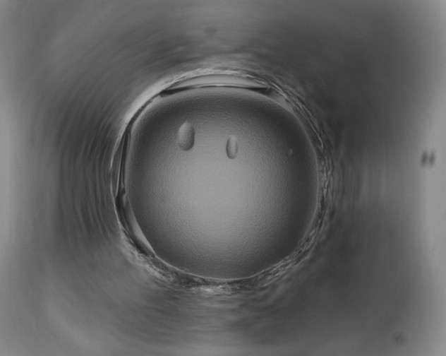 X0000113120100200908281447