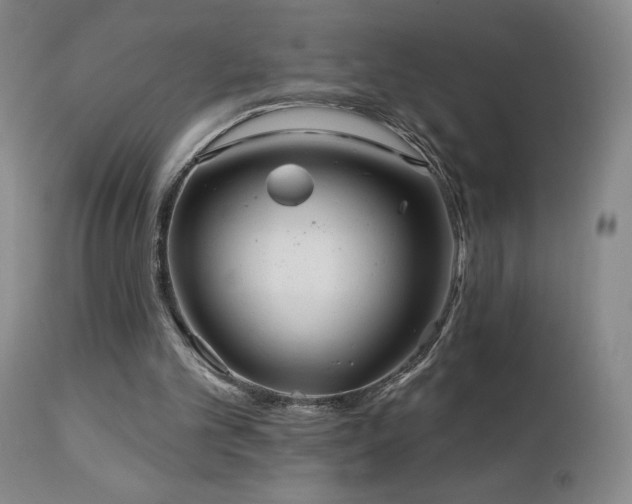 X0000113120101200908281447